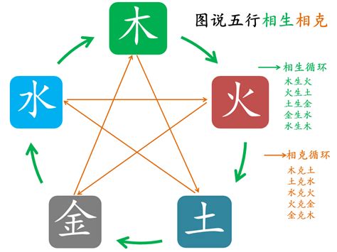 木和水的关系|五行相生相克关系怎么记忆？